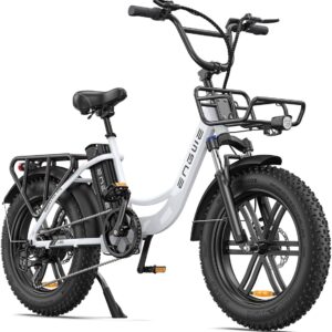 ENGWE E Bike Men's Electric Bicycle Ebike